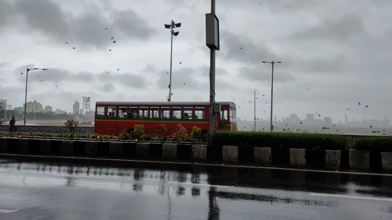 Mumbai: IMD Issues Orange Alert In Few Districts Of Maharashtra