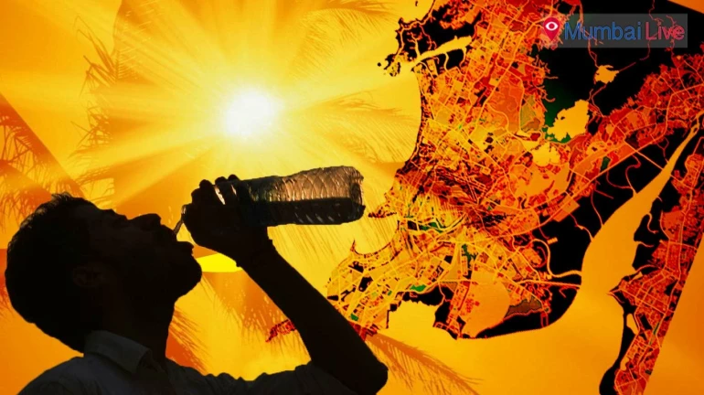 Mumbai Weather Update: IMD issues yellow warning in "these" areas