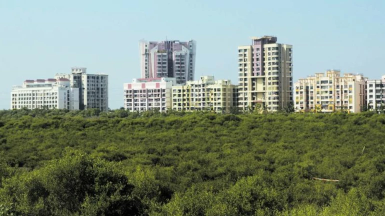 Over 1,000 Trees To Be Cut For Third Railway Line Between Kalyan and Kasara